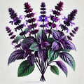 Basil (Aromatto) (4x)