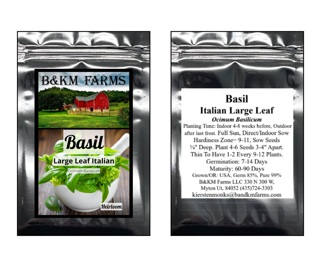 Basil Seeds (Italian Large Leaf) – Non-GMO Heirloom Seeds for Planting