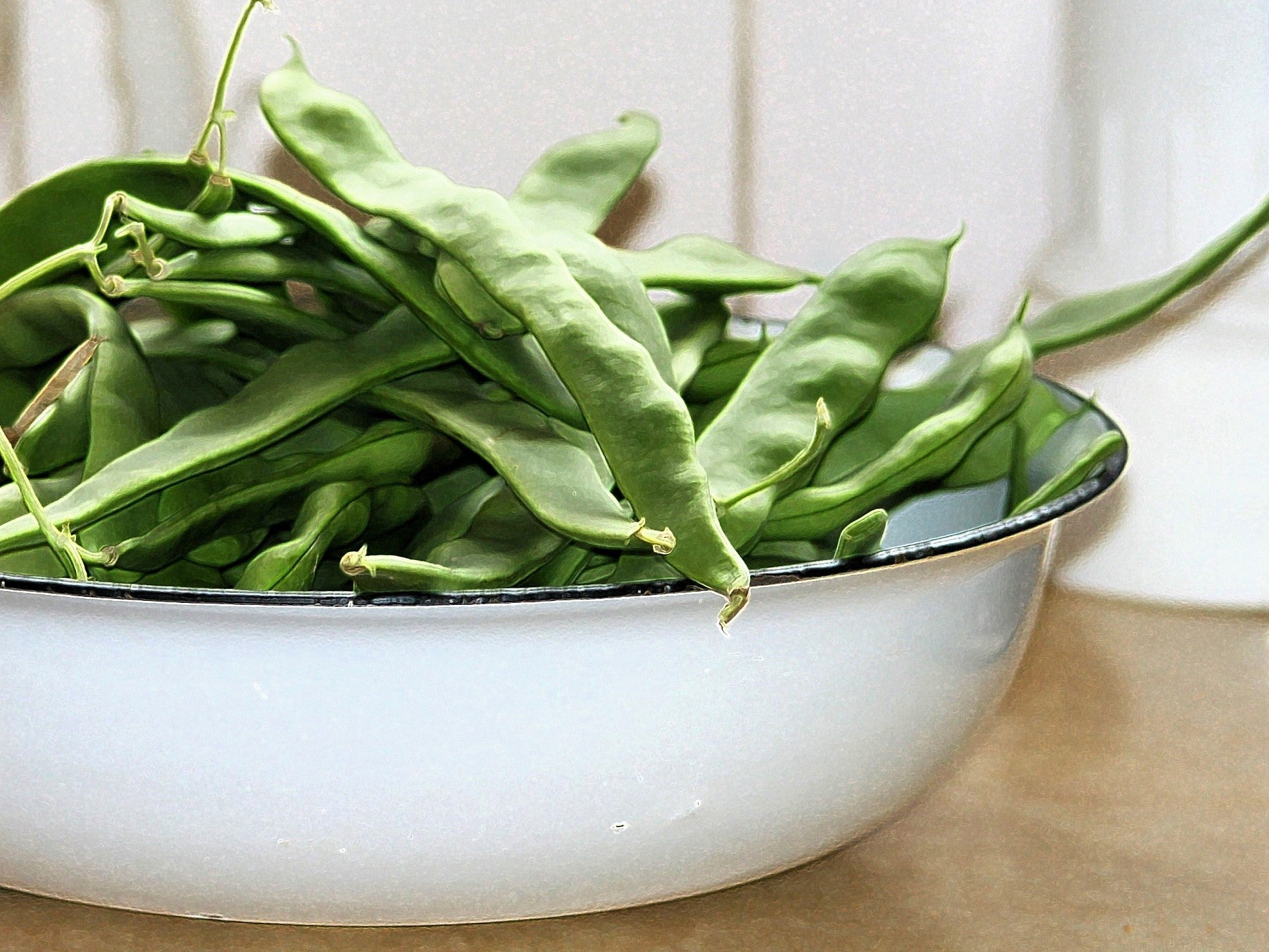 50 ROMANO BUSH BEAN Italian Flat Green Pod Phaseolus Vulgaris Vegetable Seeds