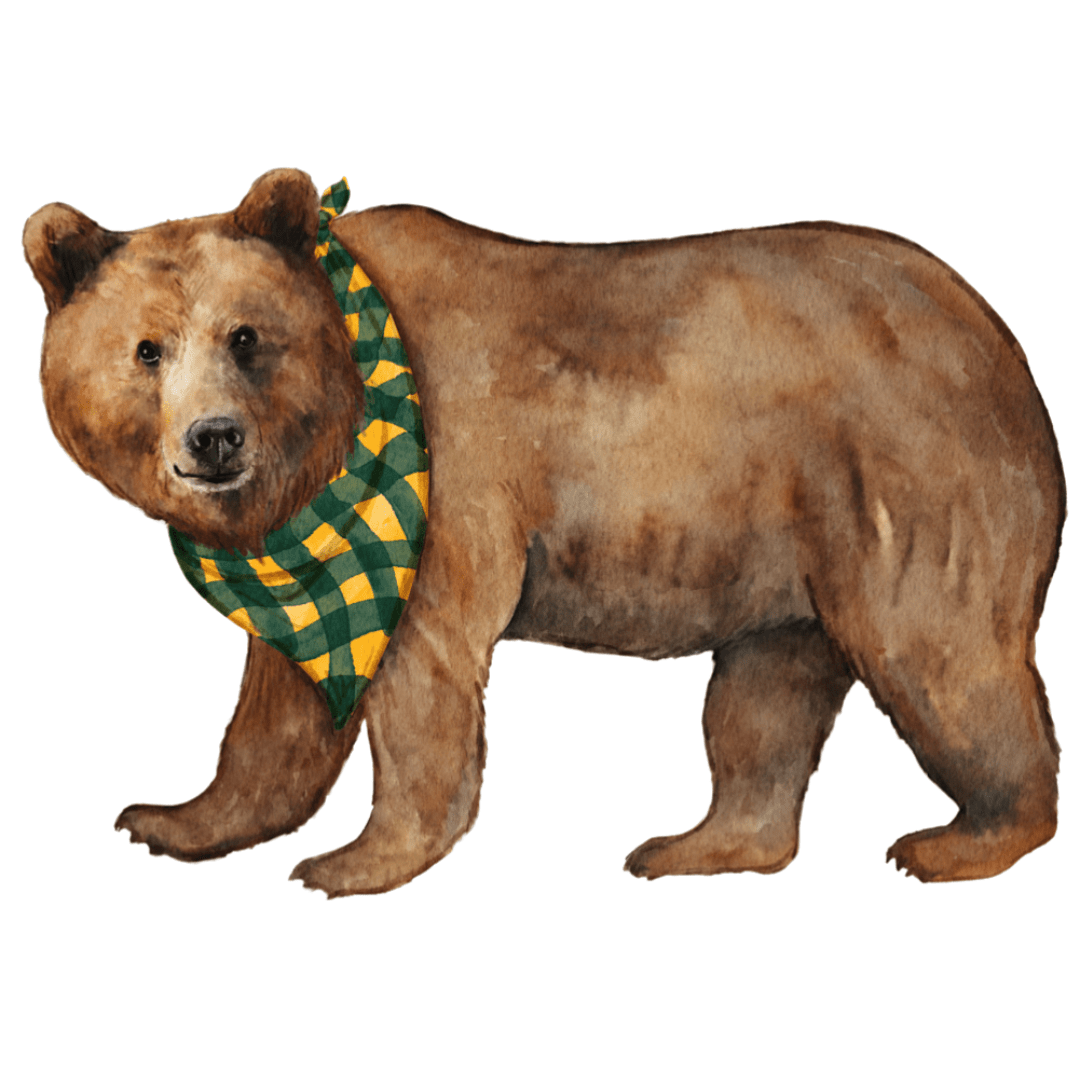 Green & Gold Bear Garden Stake