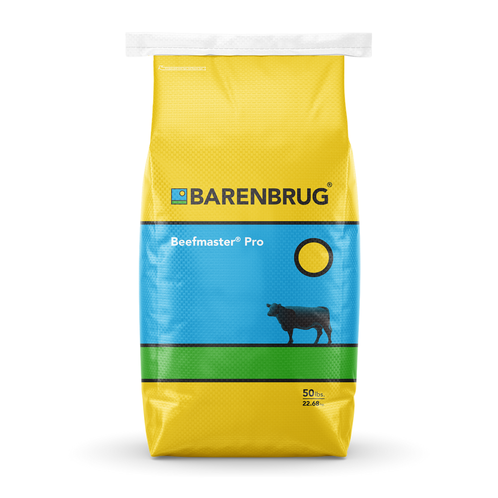 Barenbrug Beefmaster Pro