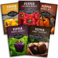 Heirloom Bell Pepper Seed Collection – Non-GMO Sweet Peppers, 5 Colors
