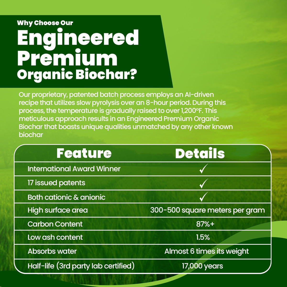 Premium Engineered Biochar (Powder)