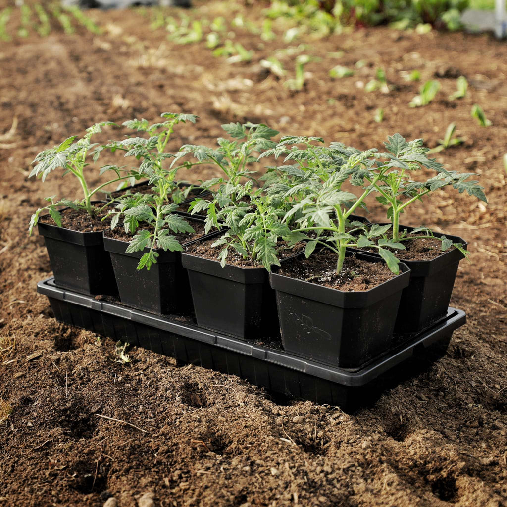5" Nursery Pots with Insert Tray