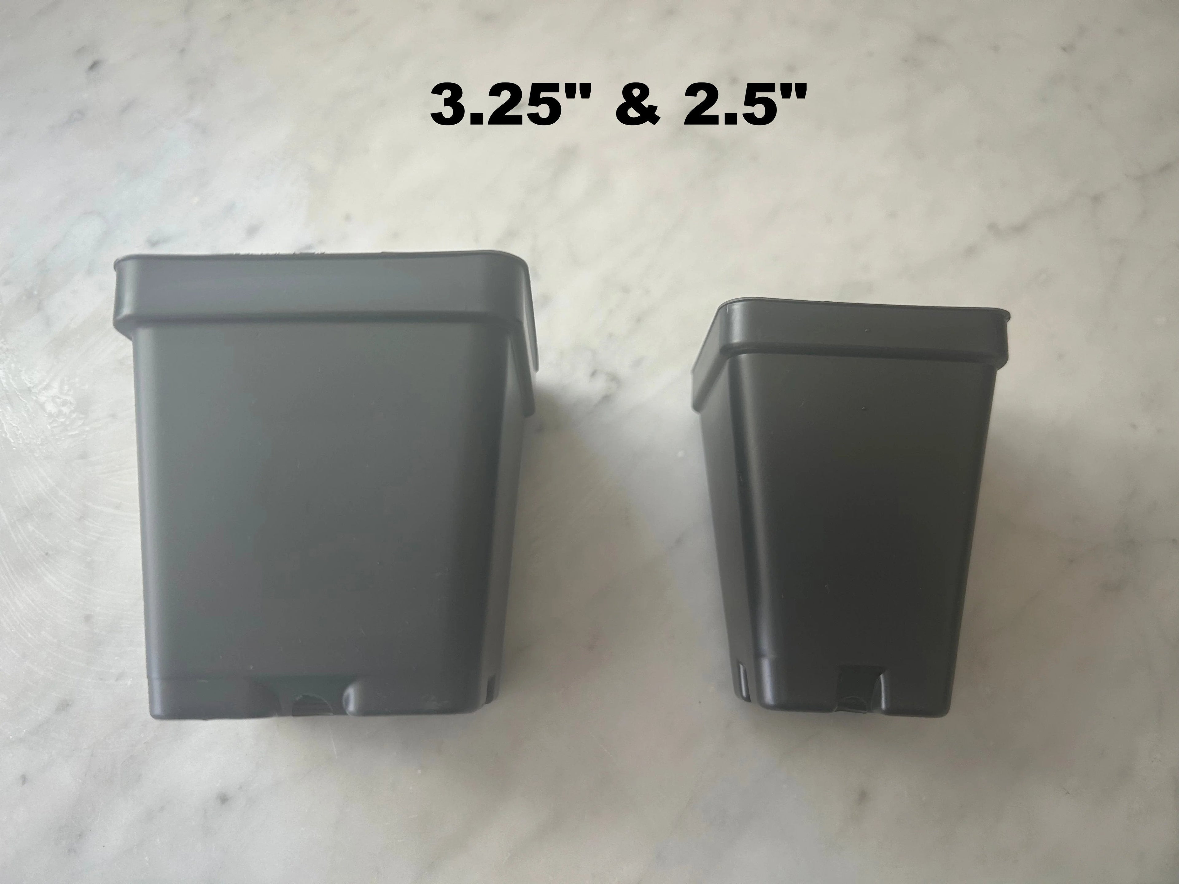 Black Square Plastic Pots - 25 Count, 2.5"-3.25", Plant Propagation & Nursery