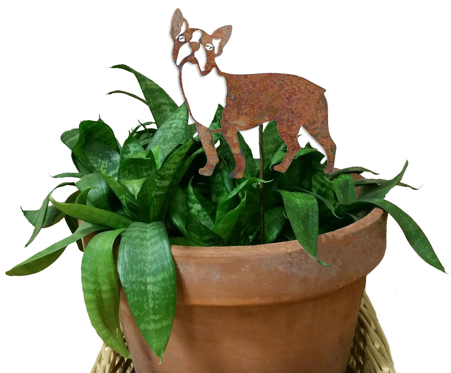 Boston Terrier Plant Stake