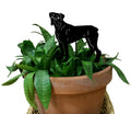 Boxer Plant Stake