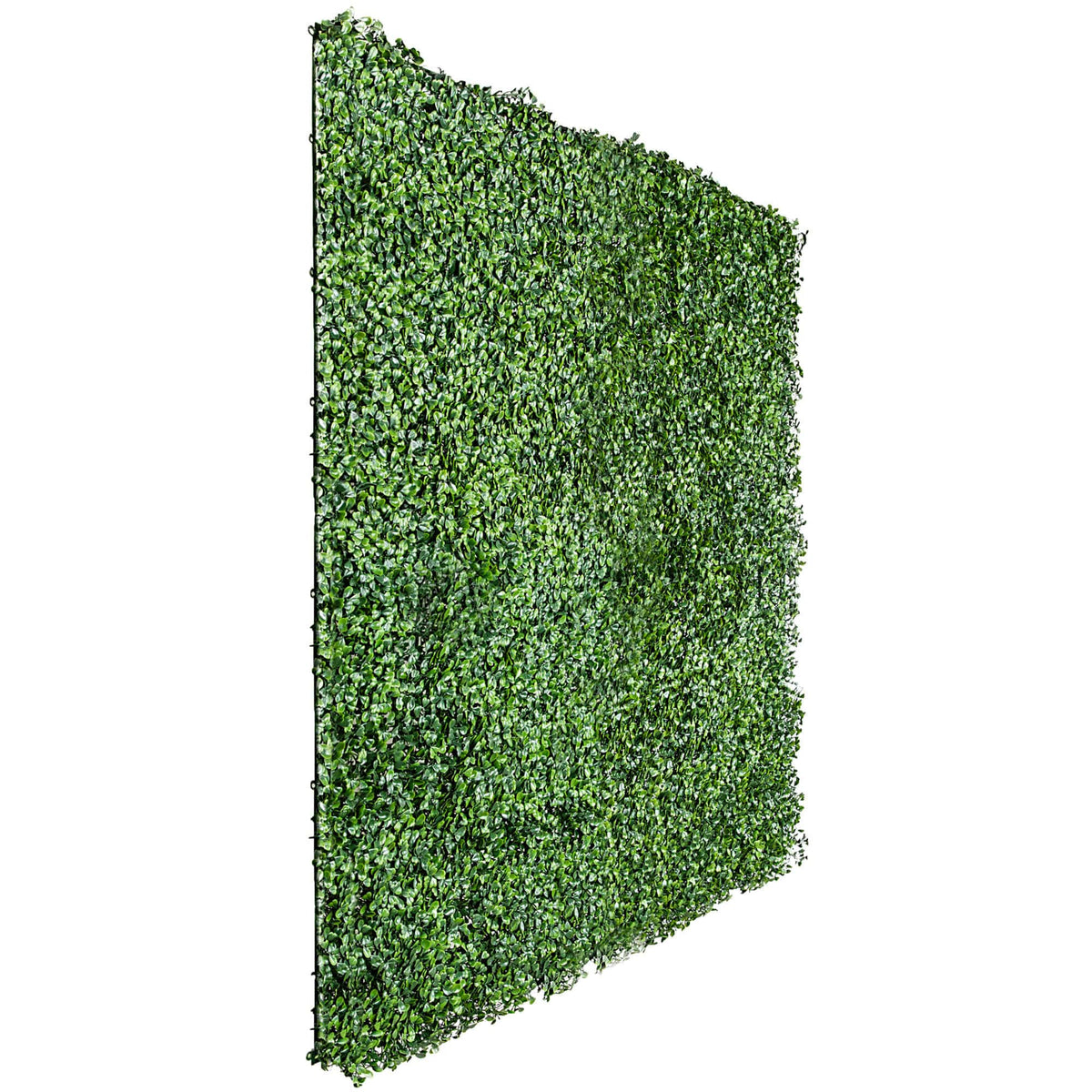 Sample Panel – Dark Boxwood Green Wall (Small Sample)