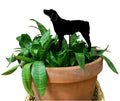 Brittany Plant Stake