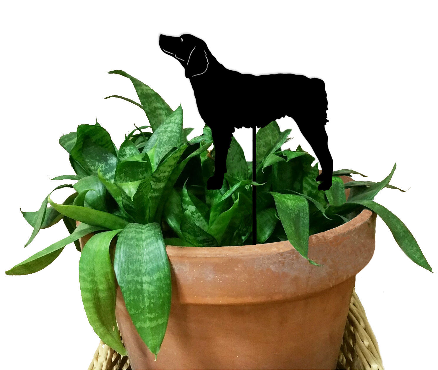 Brittany Plant Stake