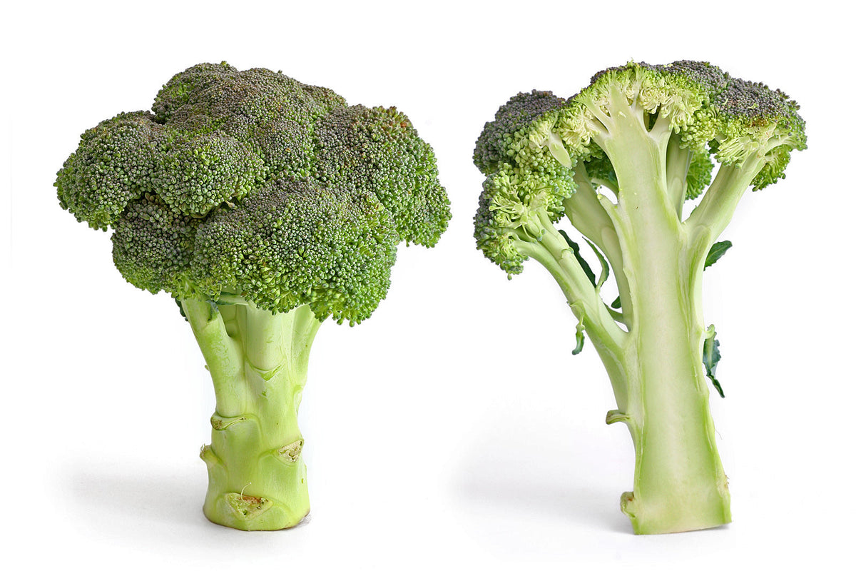 1,000 Green Sprouting Calabrese Broccoli - Non-GMO Heirloom Broccoli Seeds