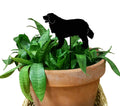 Bernese Mountain Dog Plant Stake