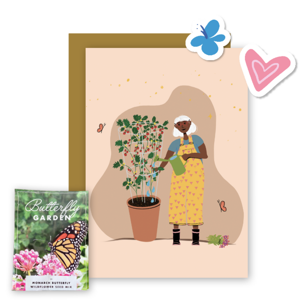Butterfly Garden Pollinator Greetings Kit w. Non-GMO Butterfly Seed Packet, Infosheets + Gardener Greeting Card (Celebrate Pollinators)