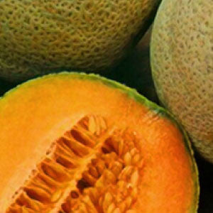CANTALOUPE Seeds, Crenshaw
