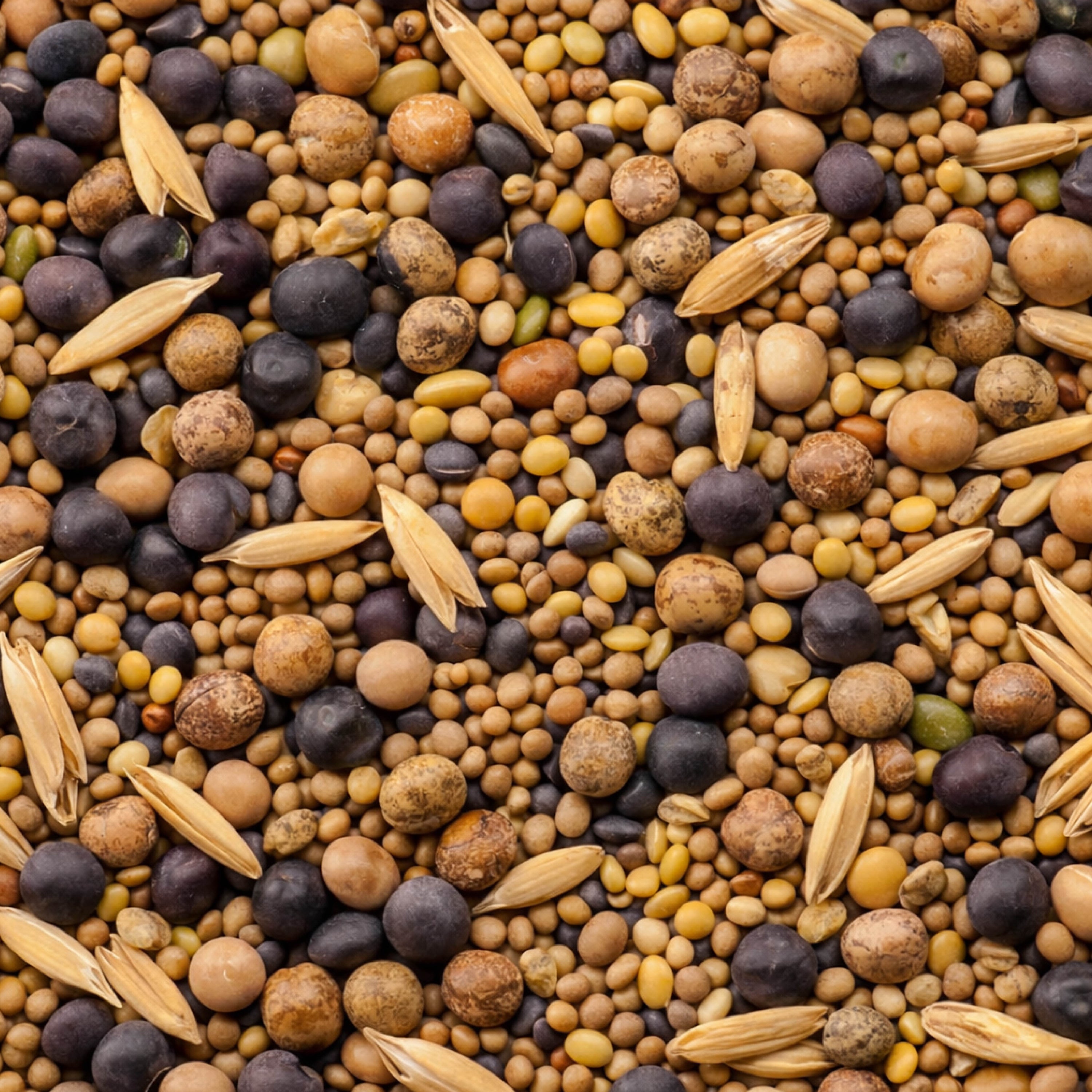 Pollinator Cover Crop  Mix