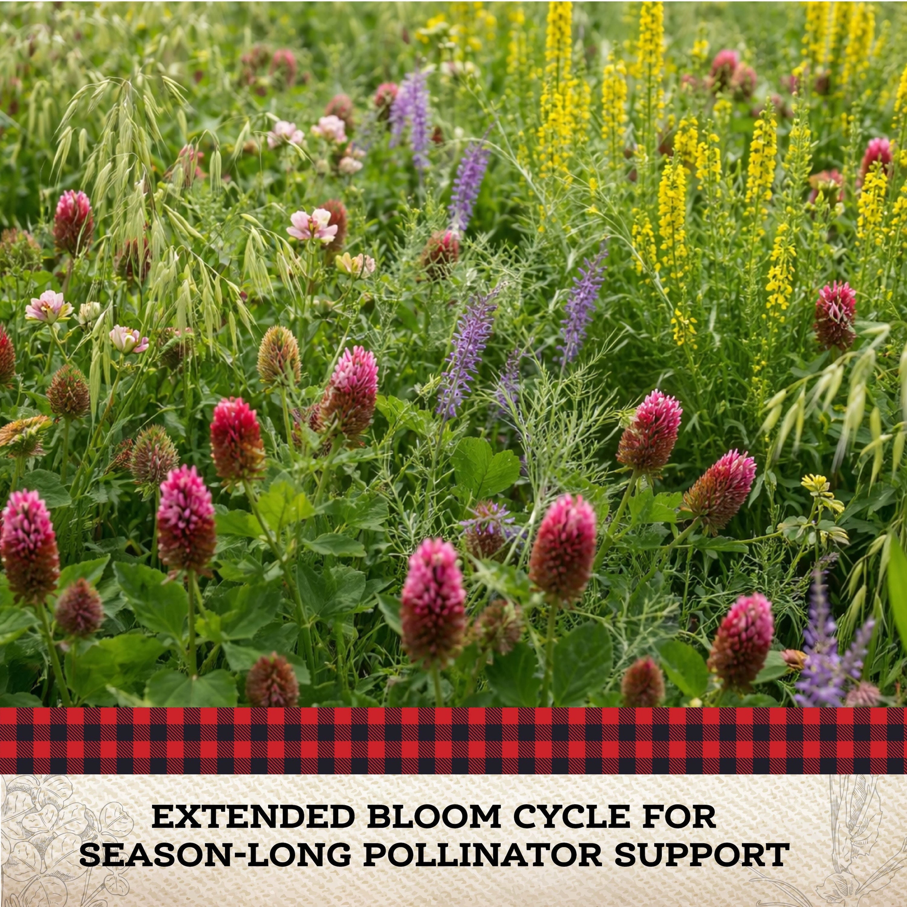 Pollinator Cover Crop  Mix