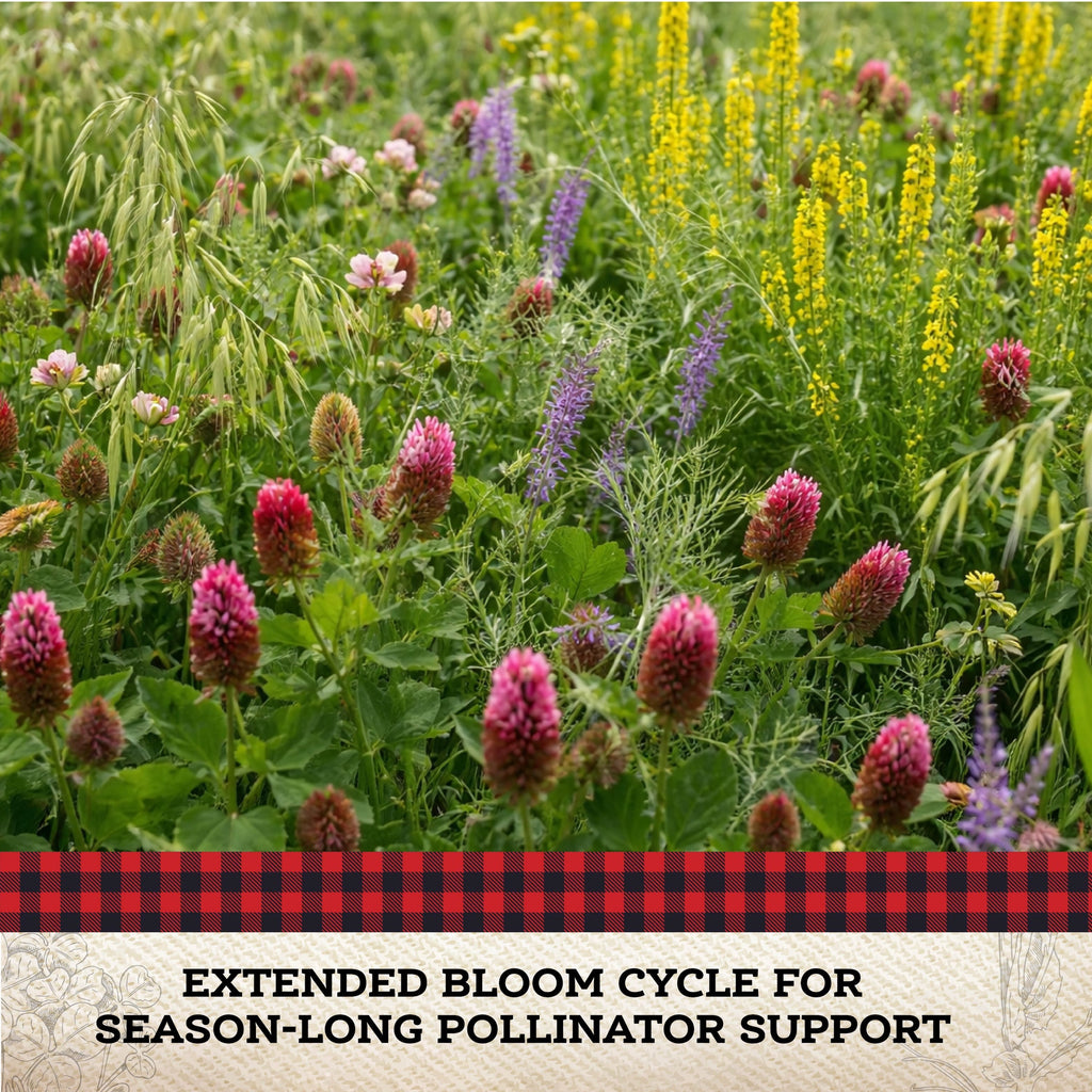 Pollinator Cover Crop Mix – 10.5 lb. - Covers 9000–12,000 sq ft (0.21–0.28 acres)