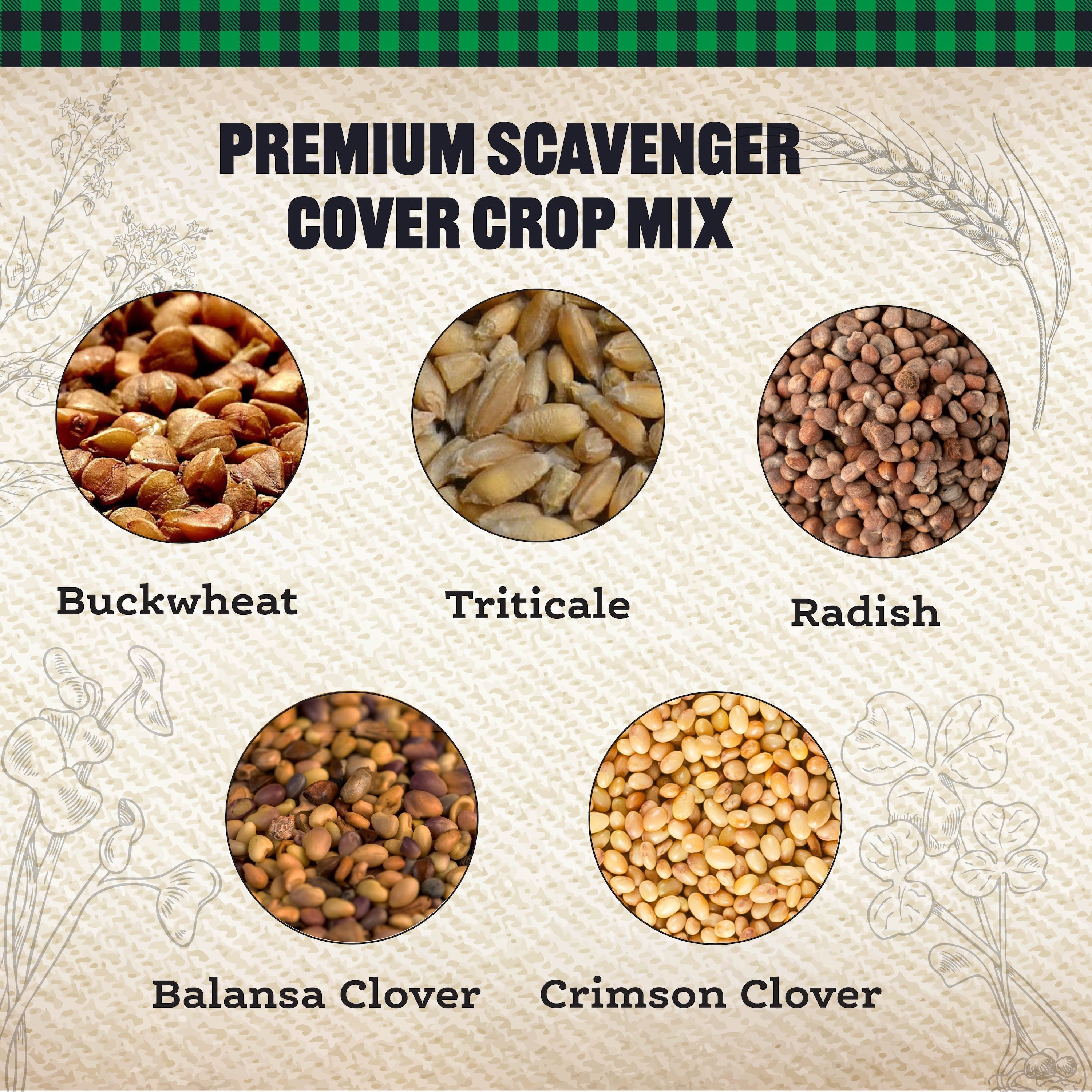 Scavenger Cover Crop Mix – 10 lb. - Covers 9000–12,000 sq ft (0.21–0.28 acres)