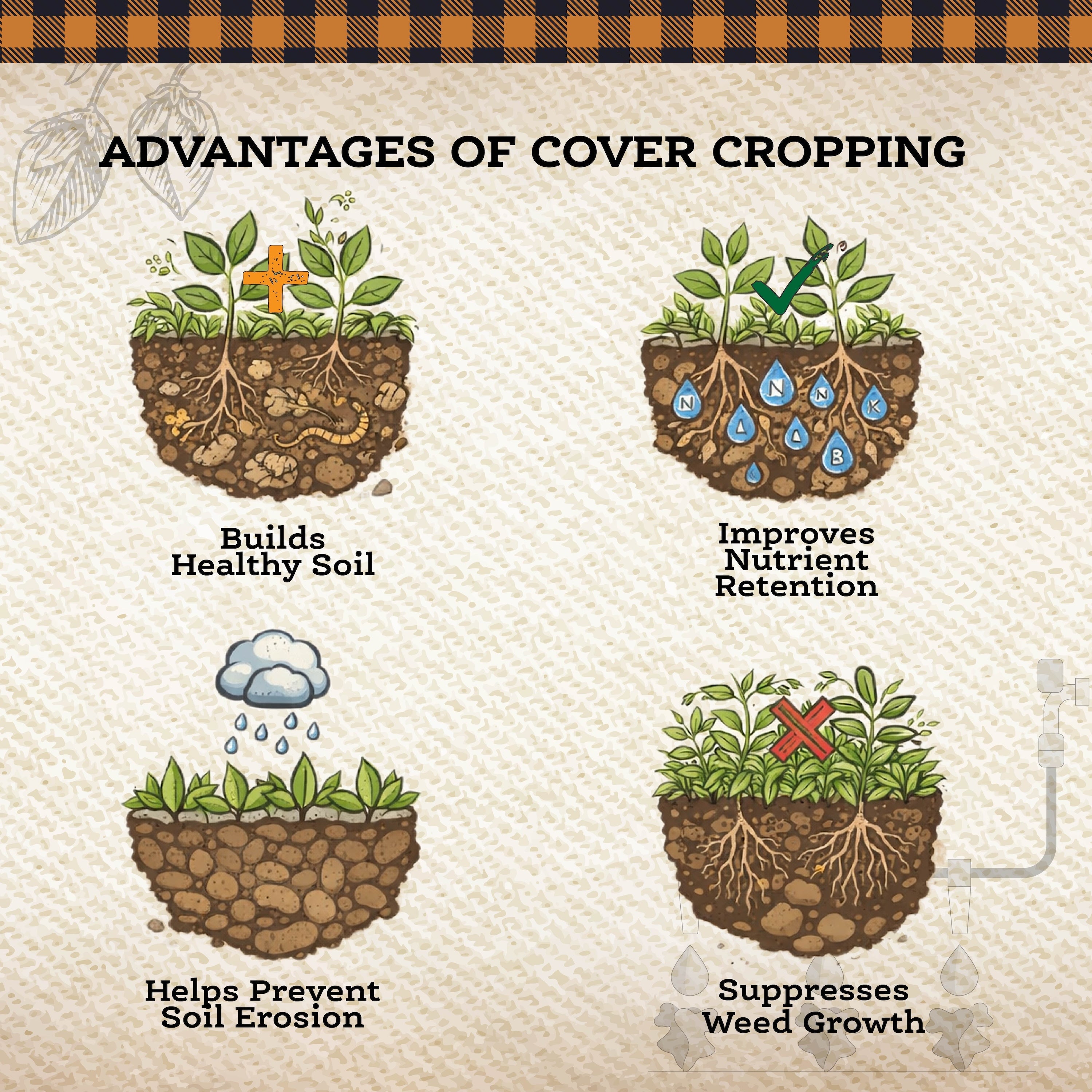 Weed Suppressor Cover Crop Mix