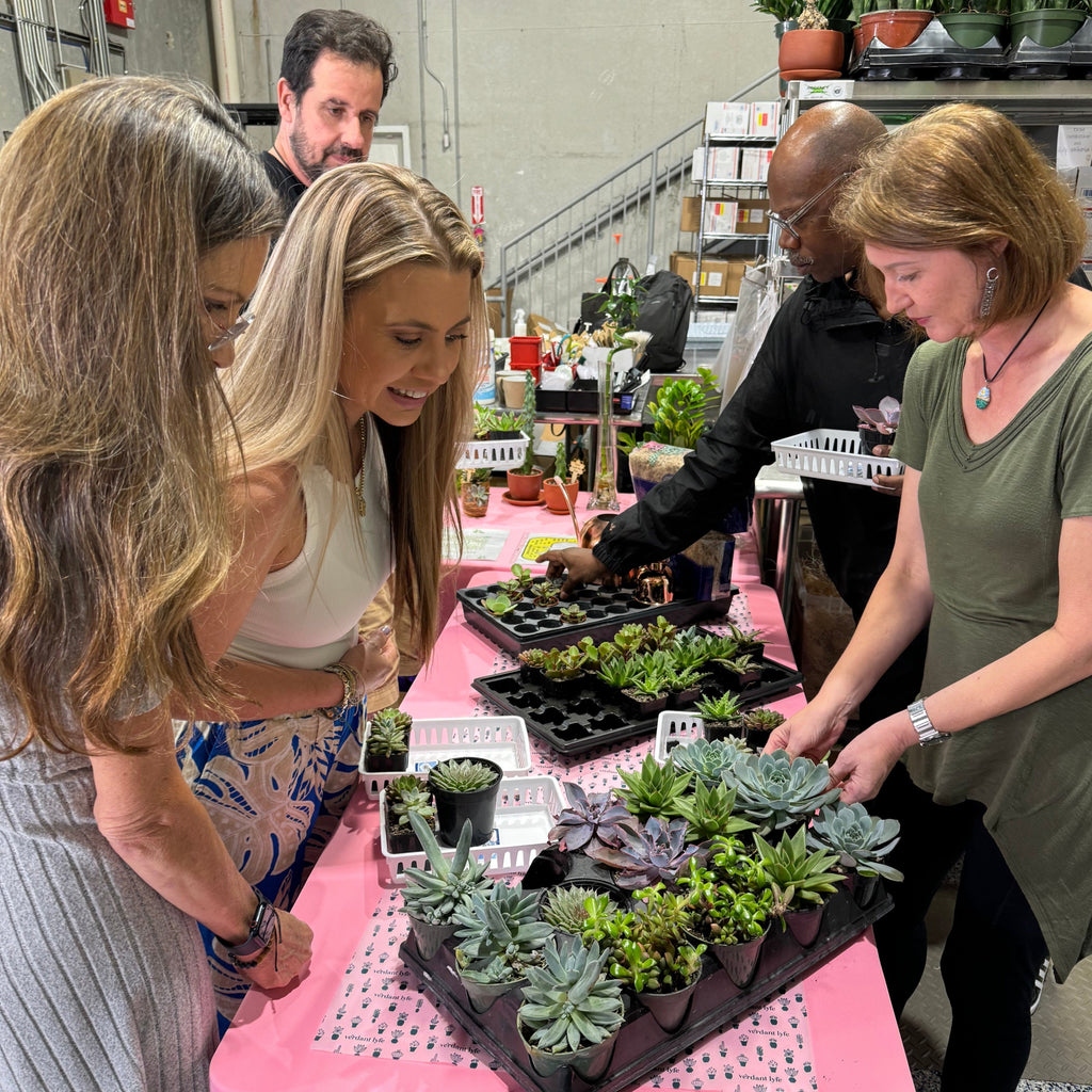 Love Grows Here Succulent Workshop- TBD