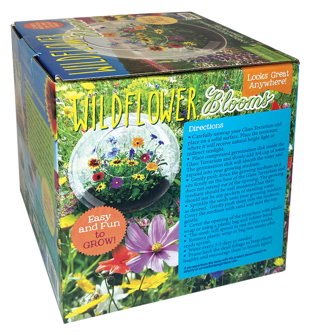 Wildflower Blooms Glass Terrarium Seed Starting Kit