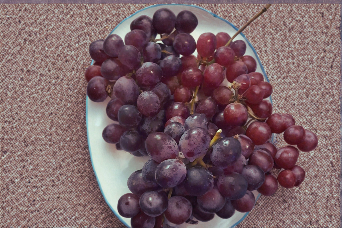 Red Flame Seedless Grape Vine 2 Gal – Sweet Red Seedless Table Grapes, Climbing Fruit Vine for Garden, Trellis, Backyard Vineyard