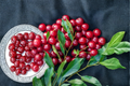 Dwarf Bing Cherry Seeds, Compact Fruit Tree, Sweet Bing Variety, Prunus avium, Indoor & Outdoor Container Gardening