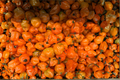 3 Jay's Peach Ghost Scorpion Live Pepper Plants - 75+ Days Old Capsicum chinense