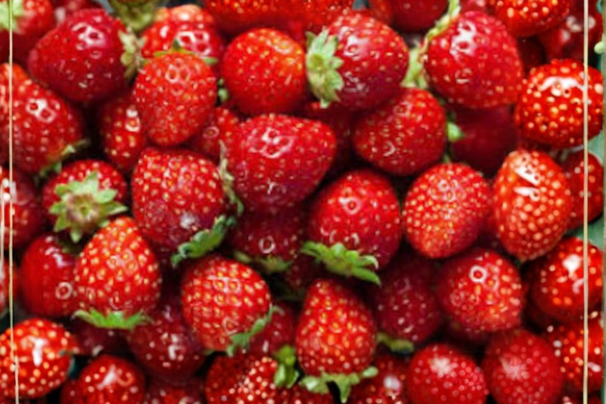 Delizz Strawberry Seeds, 30 Pack, Compact Fragaria spp. Edible Berry Plant for Indoor & Outdoor Gardening