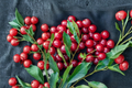 Bing Cherry Tree Seeds Pack of 5 | Fruit Tree Seeds for Indoor Outdoor Growing | Prunus avium | Deep Red Fruit
