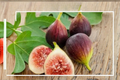 Violette de Bordeaux Fig Seeds, Dwarf Fruit Tree for Container Gardening, Ficus carica, 40 Seeds