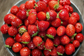 Dwarf Strawberry Seeds 200 Pack - Compact Edible Fruit Plant for Indoor Outdoor Gardens - Fragaria × ananassa