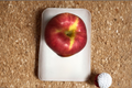 Jumbo Apple Tree Seeds – Open Pollinated Malus domestica for Home Garden & Orchard Planting