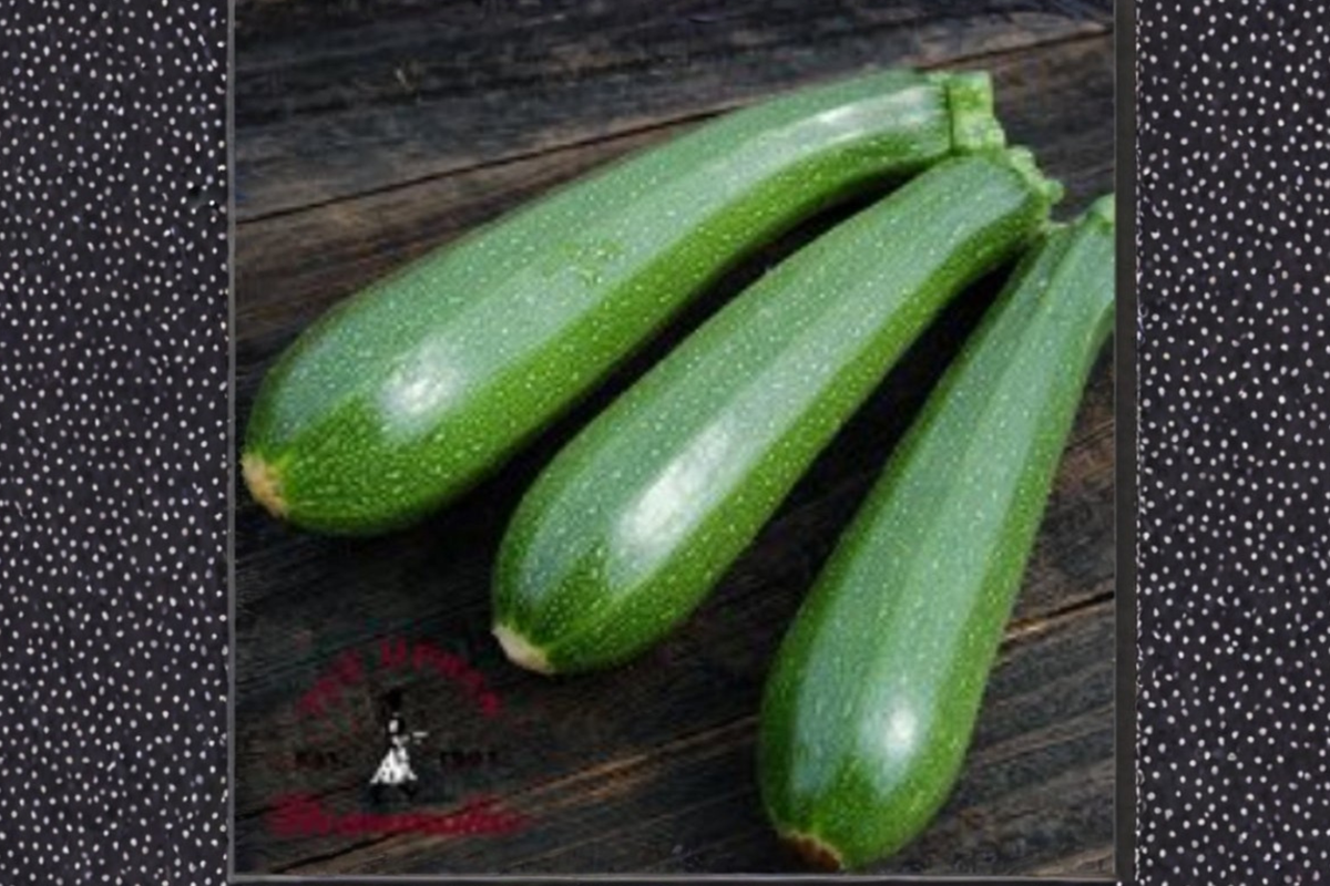 Dwarf Zucchini Seeds Pack – Compact Summer Squash Variety for Vegetable Gardens & Containers – Cucurbita pepo