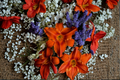 Alabama Jubilee Daylily Bare Root Plants – Yellow Orange Flowers, Perennial, Easy Care, Garden Border, Hemerocallis