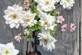 Iceberg Floribunda Rose Plant 3 Gallon Live Bush White Blooms Garden Shrub Landscaping