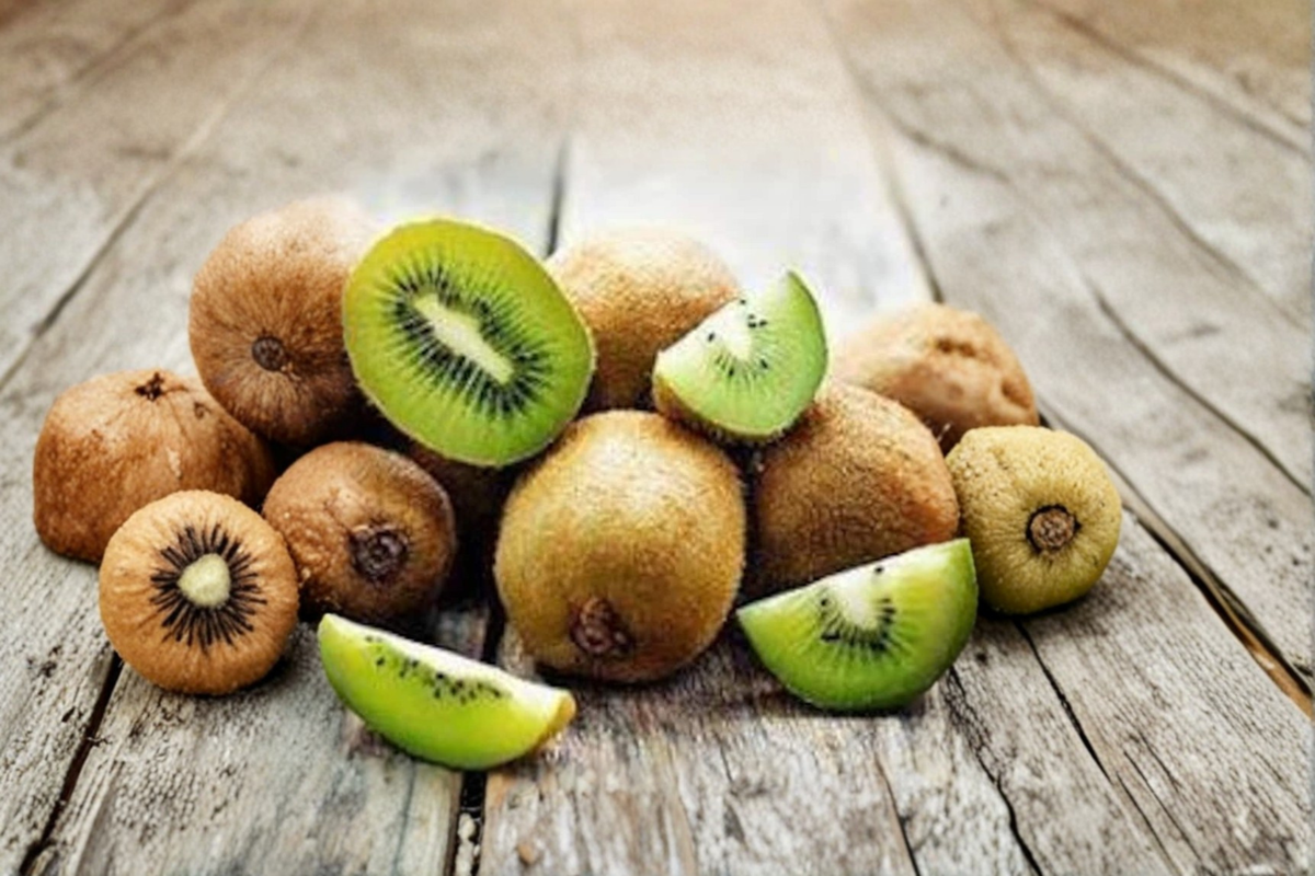 Jumbo Kiwi Seeds 20 Pack - Climbing Fruit Vine for Indoor Outdoor Growing - Actinidia deliciosa