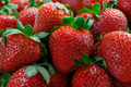 Honeoye Junebearing Strawberry Bare Root Plants (25 Pack) | Fragaria × ananassa