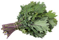 2,000 Russian Red Kale