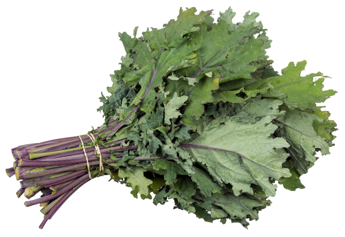 2,000 Russian Red Kale