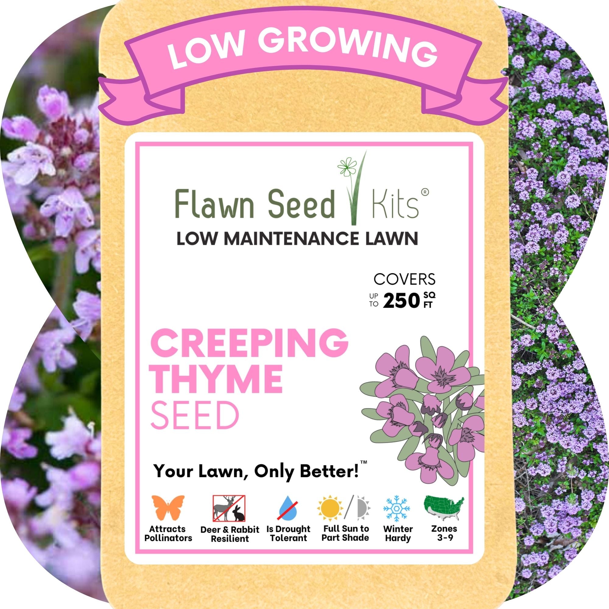 Creeping Thyme Seed Pouch