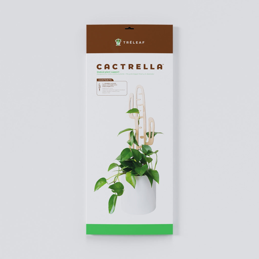 Cactrella - Plant trellis inspired by the Barrel Cactus