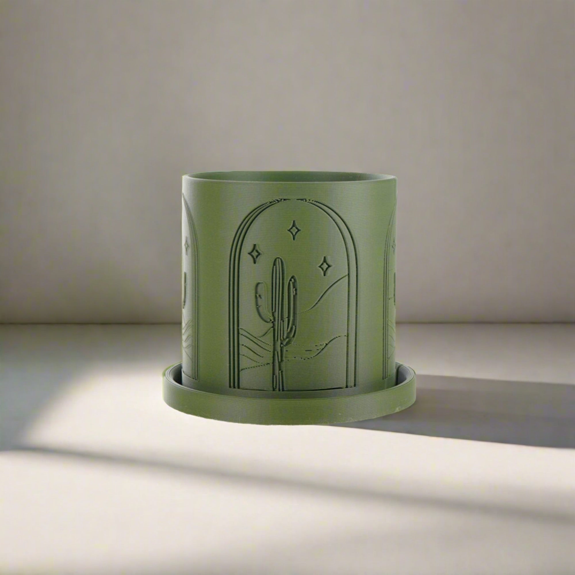 Cactus Planter