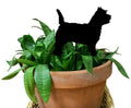 Cairn Terrier Plant Stake
