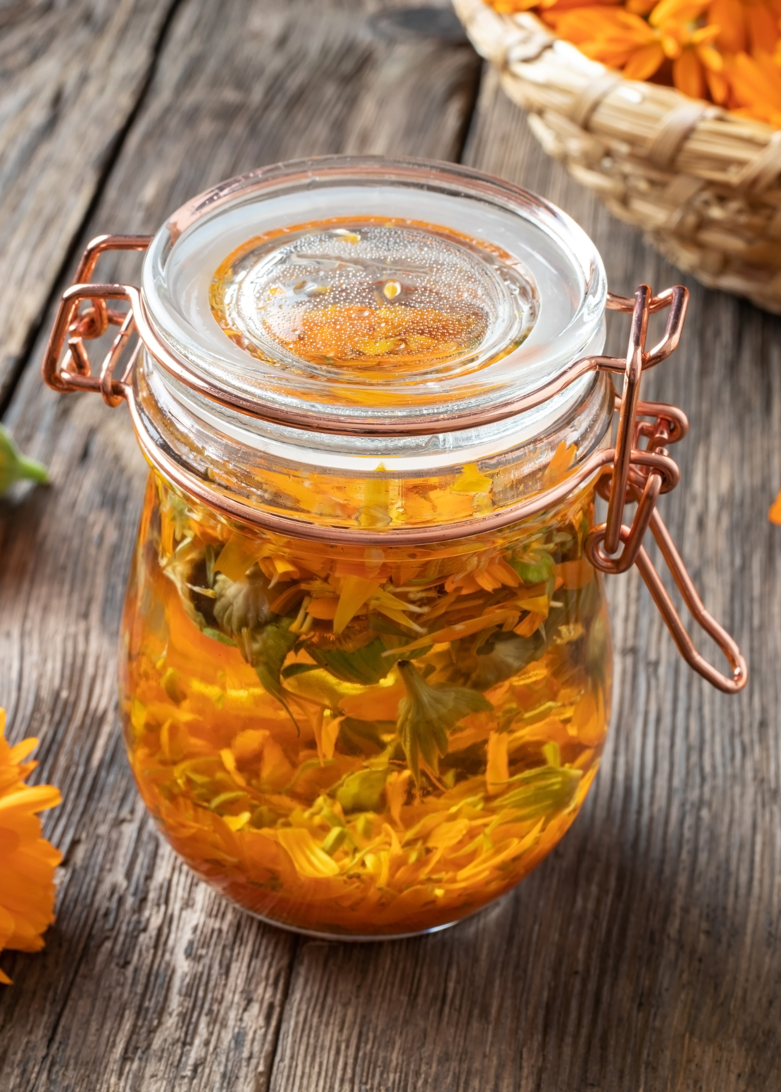 Orange Calendula (Calendula officinalis)