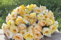 Unrooted Rose Cuttings - Moonlight Romantica, 6-Inch Stems, Ornamental Garden Rose, Rosa spp.