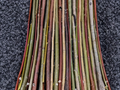 Willow Cuttings 50 Pack for Basket Weaving & Propagation Salix purpurea Flexible Stems