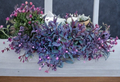 Purple Heart Tradescantia Cuttings 5 Pack – Unrooted 6-Inch Deep Purple Trailing Indoor Outdoor Plant