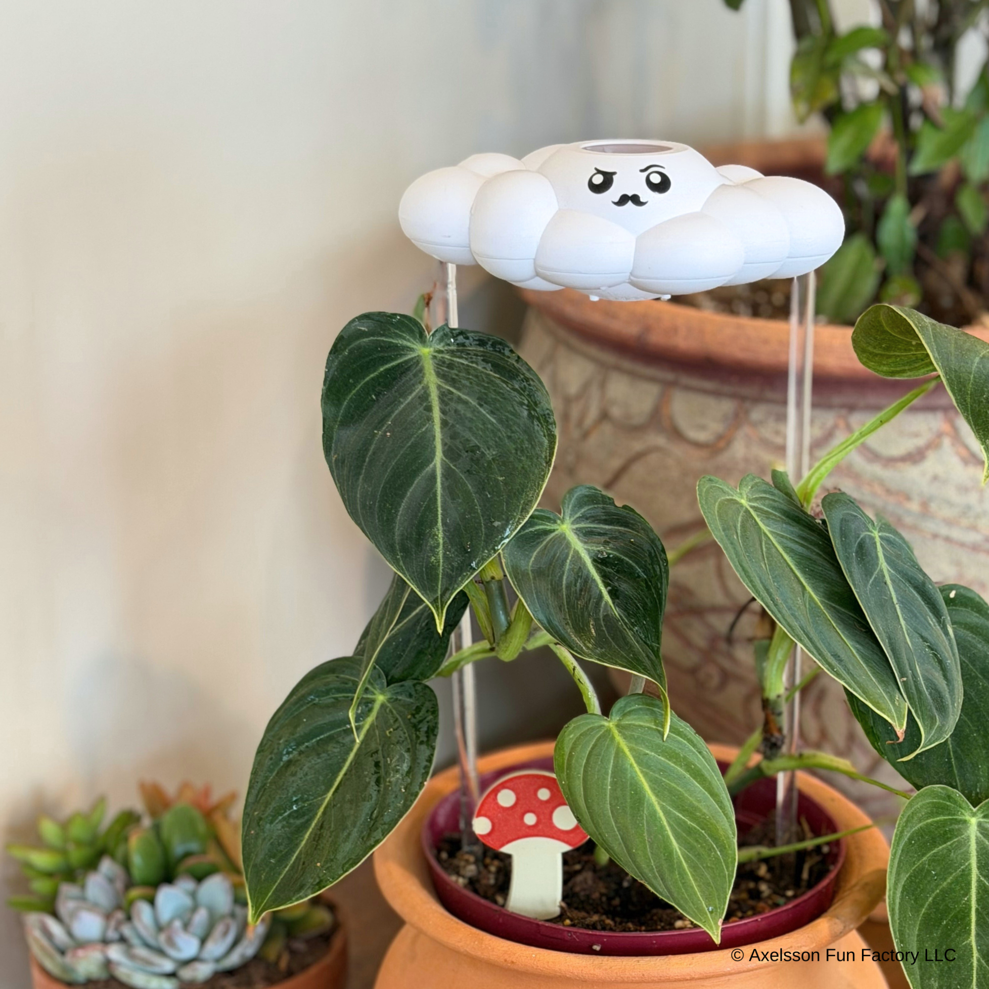 Carl the Cloud