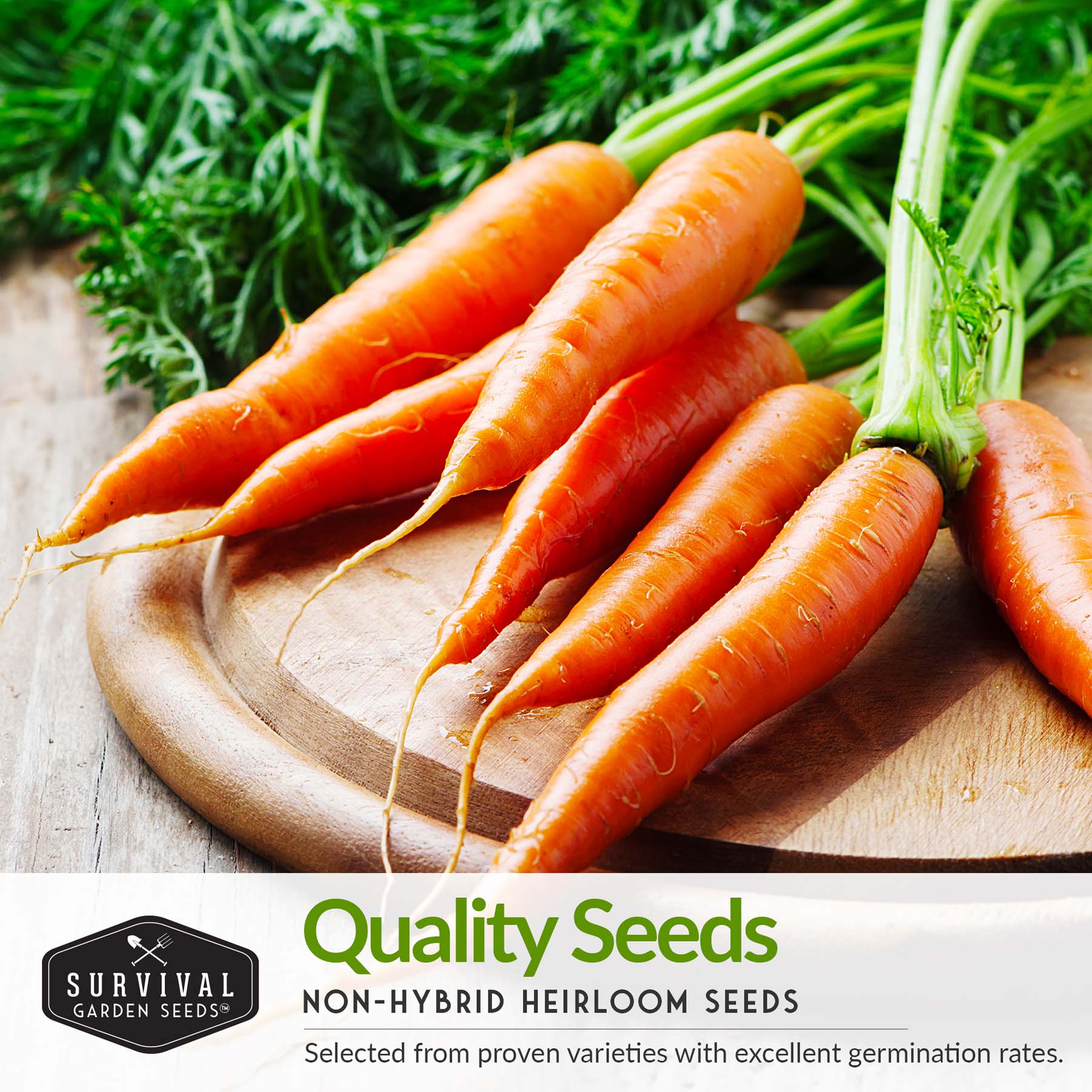 Carrot Seed Collection – Six Heirloom Garden Carrot Varieties for Fresh Eating, Juicing, Storage & Preserving